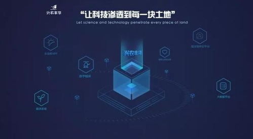 興農(nóng)豐華與國(guó)家玉米改良中心達(dá)成戰(zhàn)略合作 信息技術(shù)驅(qū)動(dòng)玉米工程化育種創(chuàng)新